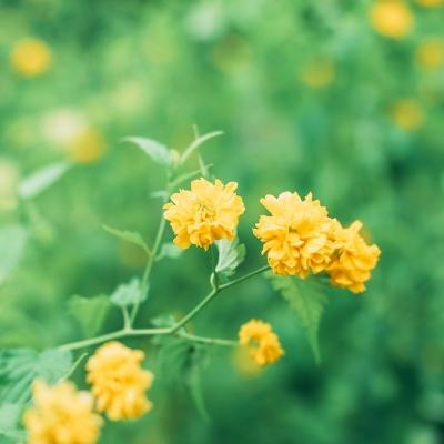 英雄联盟移动端下载安装软件